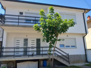 Domi, Gjakova